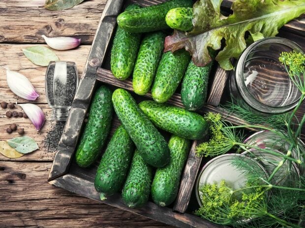 Fresh cucumber vegetables in a wooden crate with herbs on rustic wooden table