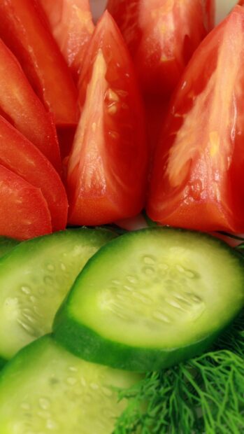 Fresh cucumber slices with tomato wedges and dill herbs in close up view