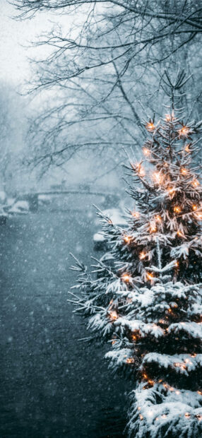 Snow covered pine tree decorated with glowing lights by a cold winter river