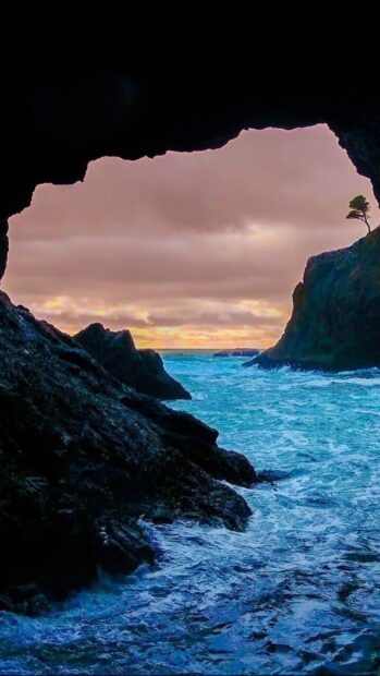 A natural seascape view from inside a rocky cave in Cyprus during sunset with a lone tree on the cliff