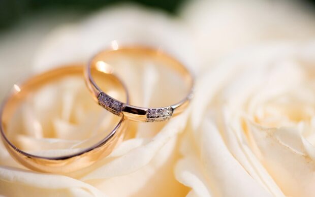 Diamond jewelry rings placed on soft white rose petals in close up view