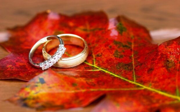 Gold rings with diamonds resting on a vibrant red autumn leaf
