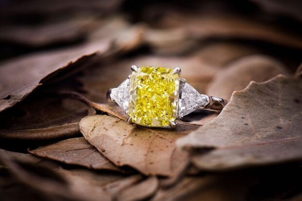 Yellow diamond jewelry ring with white diamonds on dry leaves