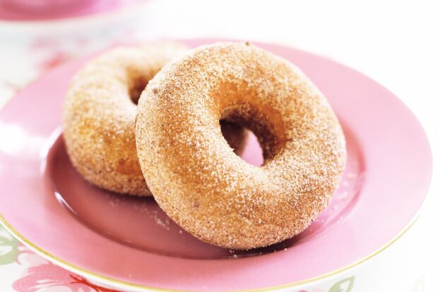 Two cinnamon sugar donuts on a pink plate with a floral tablecloth background