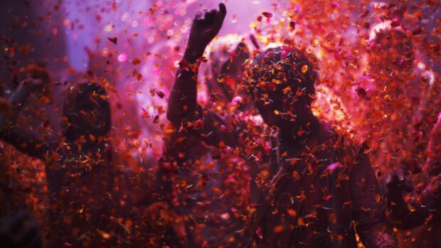 People celebrating with flower petals during festival celebration in vibrant colors