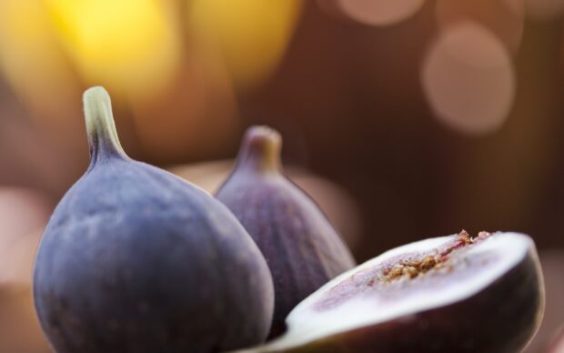 Close up of fresh fig showing detailed texture in natural light
