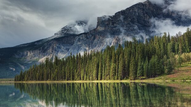 A dense forest of fir trees reflecting on a calm lake below a cloudy mountain range