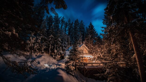 A snowy fir tree forest surrounding a cozy cabin glowing warmly at night