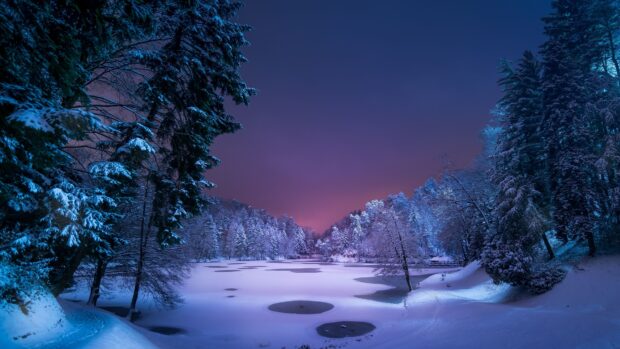 Snow covered fir trees surround a frozen lake under a purple twilight sky