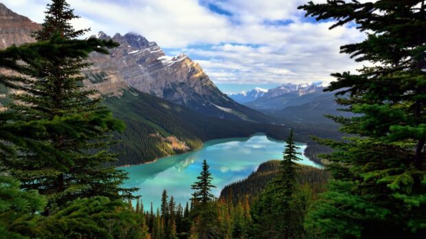 Green fir tree forest surrounding a turquoise lake with mountain peaks in the background
