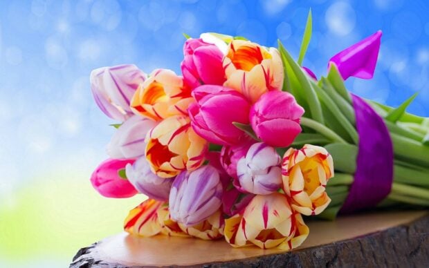 A vibrant flower bouquet with pink and yellow tulips resting on wooden surface against a blue sky background