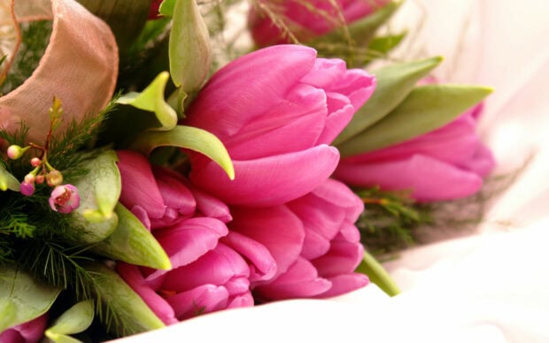 Pink tulips in a flower bouquet surrounded by green leaves and small buds