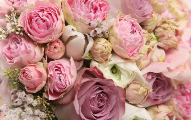 A close up of a flower bouquet featuring pink and white roses in full bloom