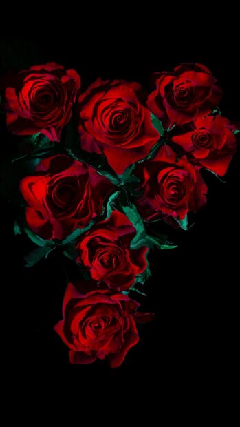 A vibrant flower bouquet featuring deep red roses with green leaves on a black background
