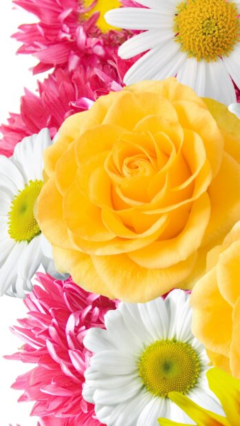 A close up view of a colorful flower bouquet featuring a yellow rose and white daisies