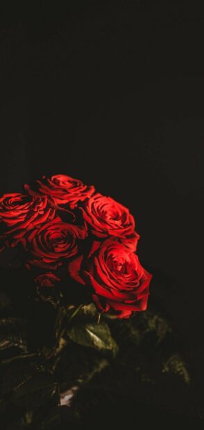 A close up view of a flower bouquet with vibrant red roses in dark lighting