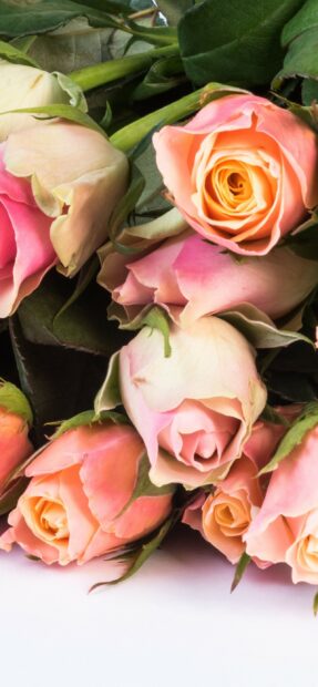 A close up of flower bouquet showing delicate pink and peach roses with green leaves