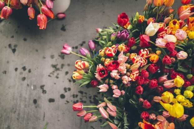 Colorful flower bouquet with various tulip species displayed on a rustic surface