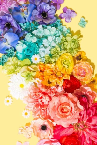 A vibrant flower bouquet with various colorful flowers arranged on a yellow background