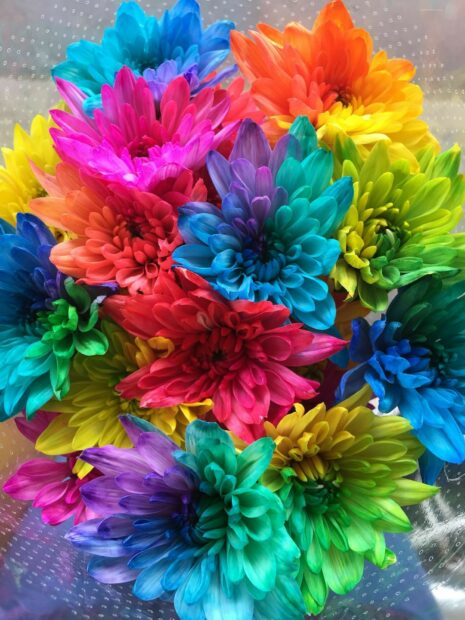 A colorful flower bouquet with vibrant petals in various shades of blue green yellow and pink