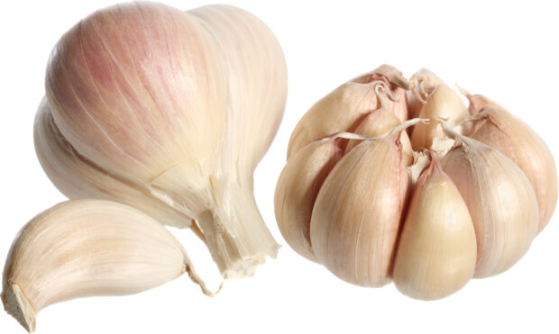 A close up of fresh garlic cloves and bulb isolated on white background