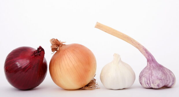 A white garlic bulb with a long stem placed next to a yellow onion and a red onion on a white surface