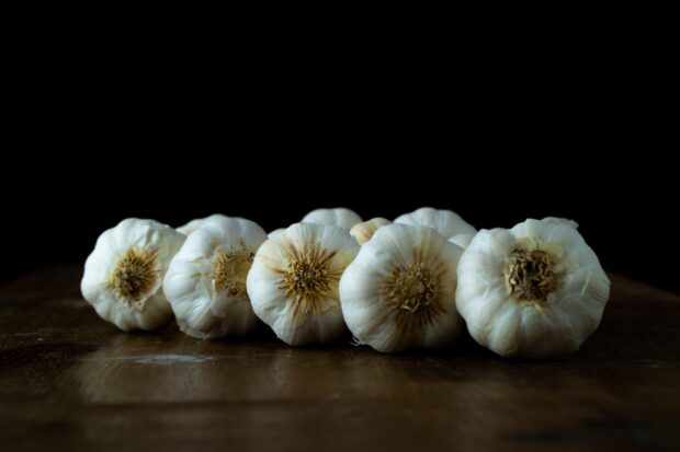 Fresh garlic bulbs arranged in a row on a wooden surface with a dark background