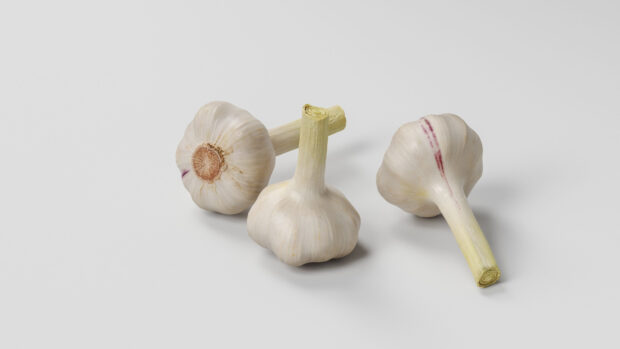 Fresh garlic bulbs with stems placed on a plain white surface