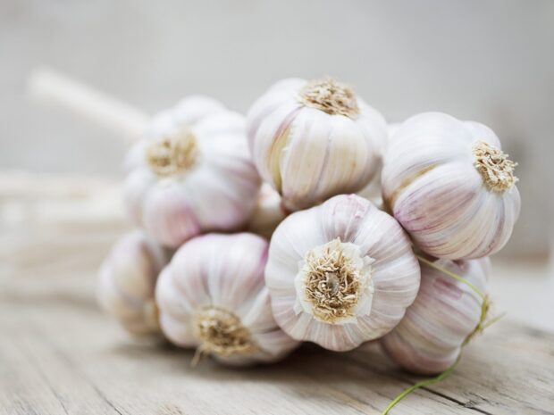 Fresh garlic bulbs arranged on a wooden surface with natural light highlighting the garlic
