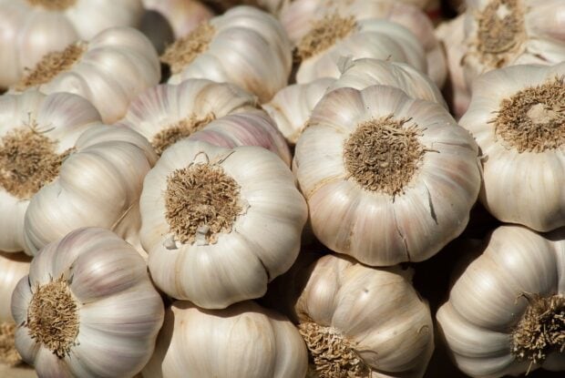 Fresh garlic bulbs piled together showing natural texture and detail
