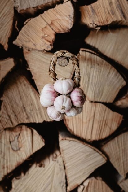 A bunch of garlic hanging on a rustic braided rope against stacked firewood background