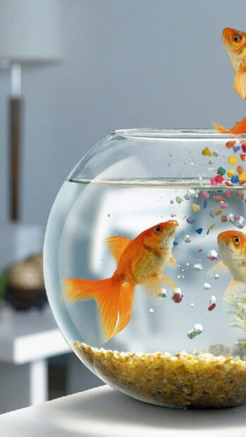 A gold fish swimming inside a round fishbowl with colorful pebbles and bubbles around it