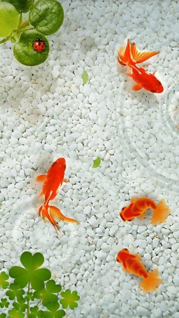 Four gold fish swim among white pebbles with green plants and a ladybug nearby