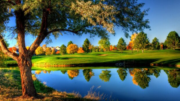 Autumn golf course with trees reflecting on water near a large tree trunk