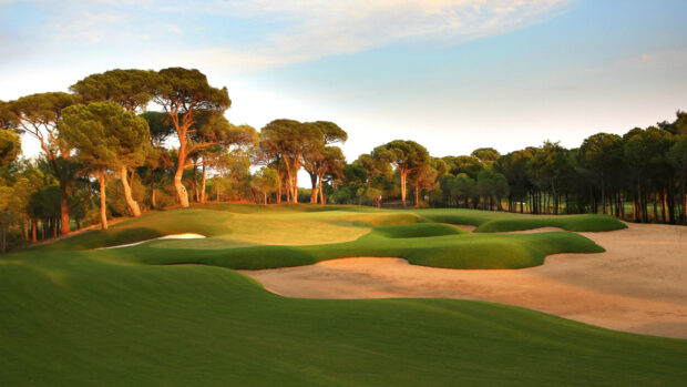 A beautifully maintained golf course with lush green fairways and surrounding trees in the golden hour sunlight