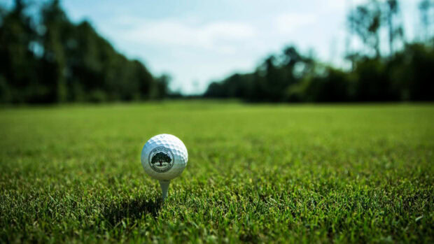 A golf course with a golf ball on a tee ready for play on a sunny day