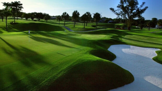 A lush golf course with green hills and palm trees under clear blue sky
