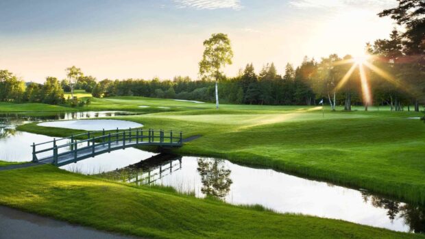 A serene golf course with a bridge over water and a flag on the green surrounded by trees