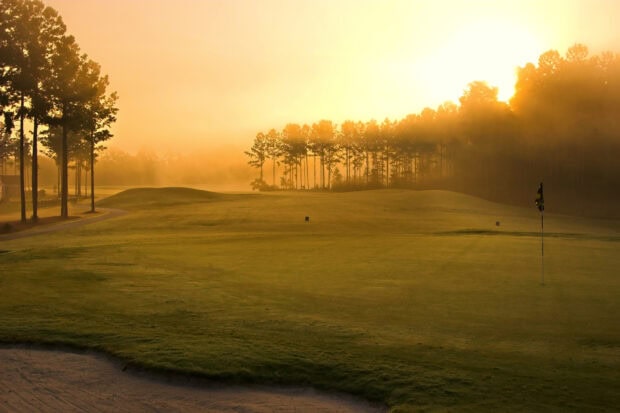 Early morning golf course with lush green grass and trees in warm sunlight haze
