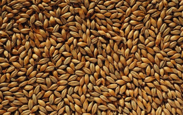 Close up view of various grains scattered in high detail texture