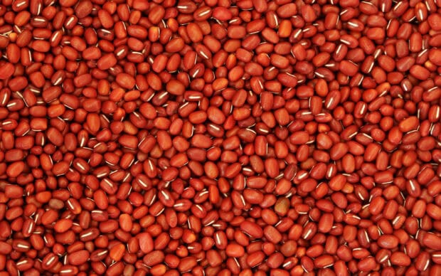 Red grains filling the entire frame showing a close up of many small grains