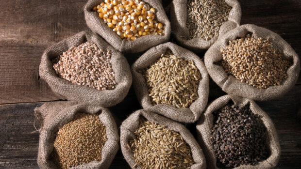 Various grains displayed in burlap sacks on a wooden surface