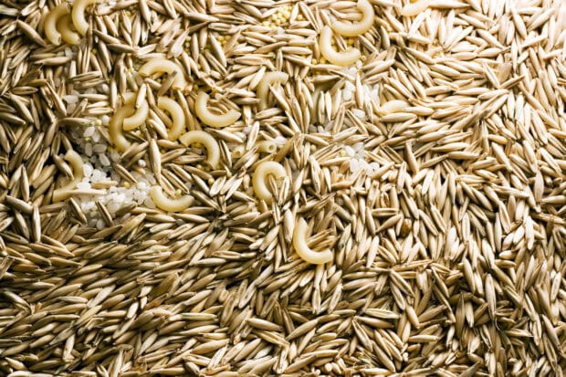 Close up of grains mixed with pasta and rice on a wooden surface