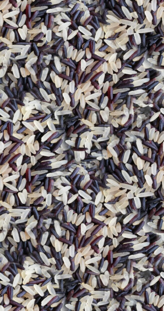 Close up of mixed colorful grains in high definition quality