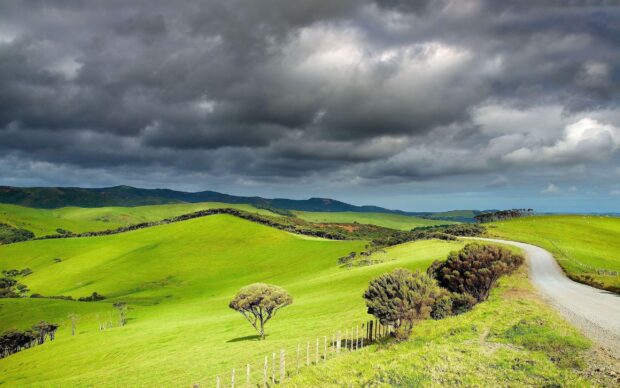 A scenic grassland landscape with rolling green hills and a winding dirt road under cloudy skies
