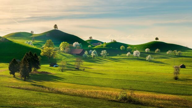 A peaceful grassland with green hills and scattered trees under a clear sky