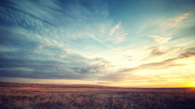 Vast grassland under a colorful sky during sunset with expansive clouds