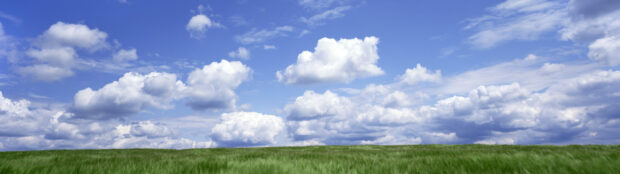 Green grassland under a cloudy blue sky with scattered white clouds