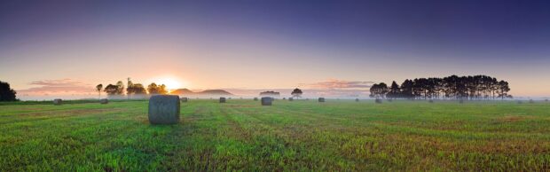 Green grassland with hay bales scattered under a sunrise sky