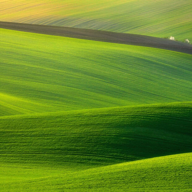 Rolling grassland with vibrant green shades in the countryside landscape